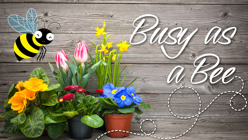 We're Busy as a Bee! May Gardening Tips