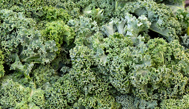 What not to pair with kale in the garden.