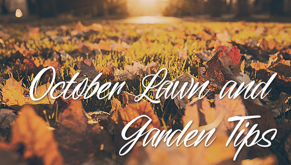October Lawn and Garden Tips