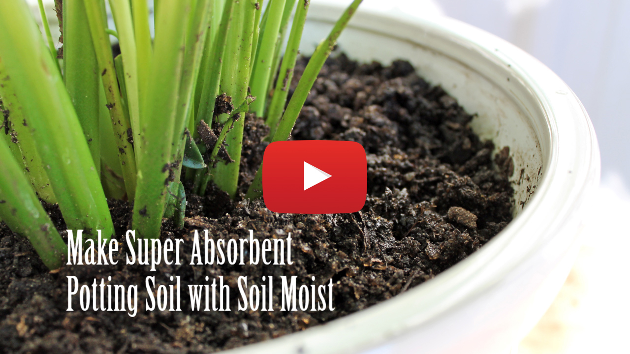 Soil Moist Crystal make super absorbant potting soil!