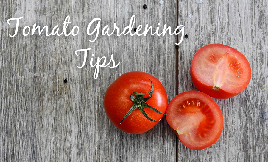 Organic Gardening! Tips for your sping garden.
