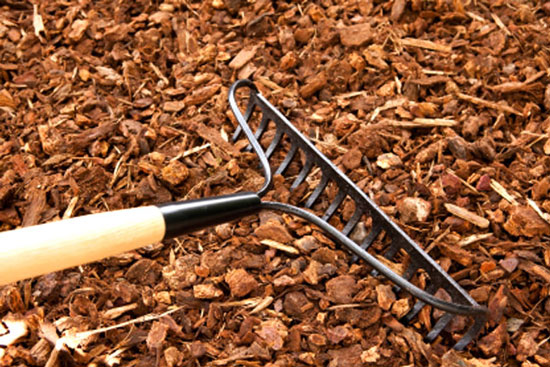 Planting your Mulching