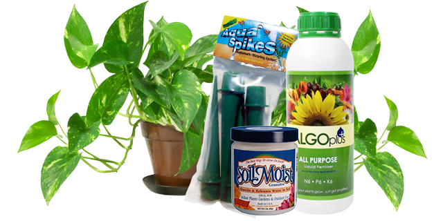 Container Garden Products