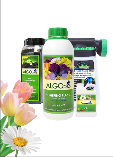 Algoplus Backyard Garden Kits good for most Home Gardens!