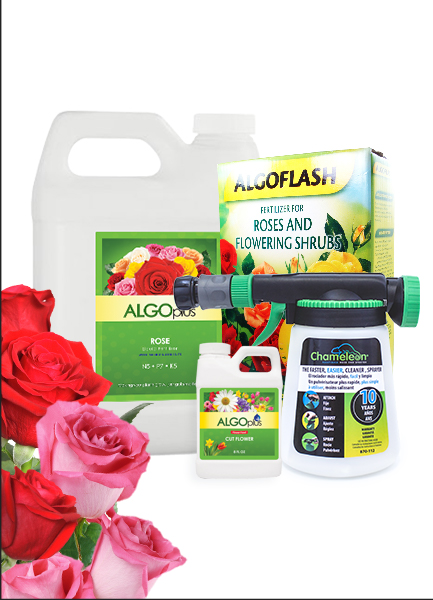 Algoplus Rose Garden Kits with a 5 liter size liquid fertilizer for your dream rose garden of any size!