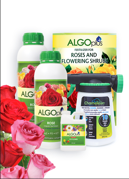 Algoplus Rose Garden Kits for your dream rose garden of any size!