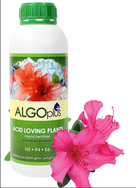 Algoplus Natural Acid Loving Plants Fertilizer