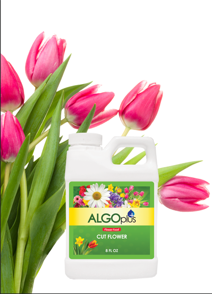 Algoplus Cut Flower Food