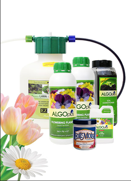 Algoplus Patio Garden Kits for your dream container garden come to life!