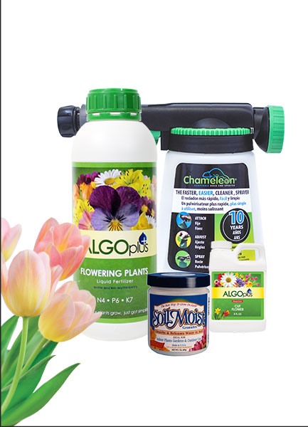 Algoplus Backyard Garden Kits for Small Home Garden!