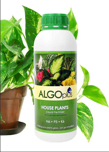 Algoplus House Plants Fertilizer