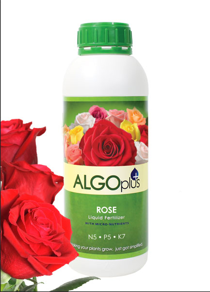 Algoplus Natural Rose Fertilizer