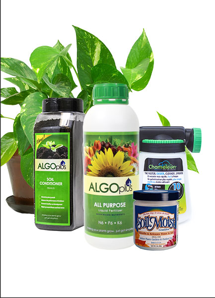 Algoplus Backyard Garden Kits good for most Home Gardens!