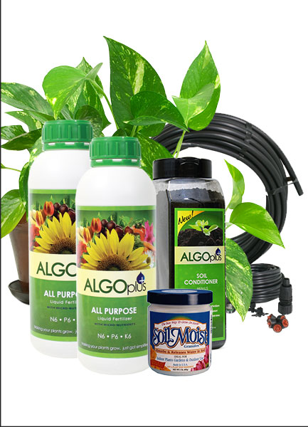 Algoplus Patio Garden Kits for your dream container garden come to life!