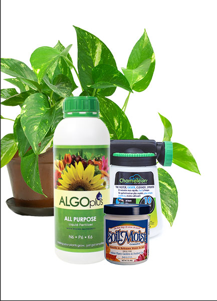 Algoplus Backyard Garden Kits for Small Home Garden!