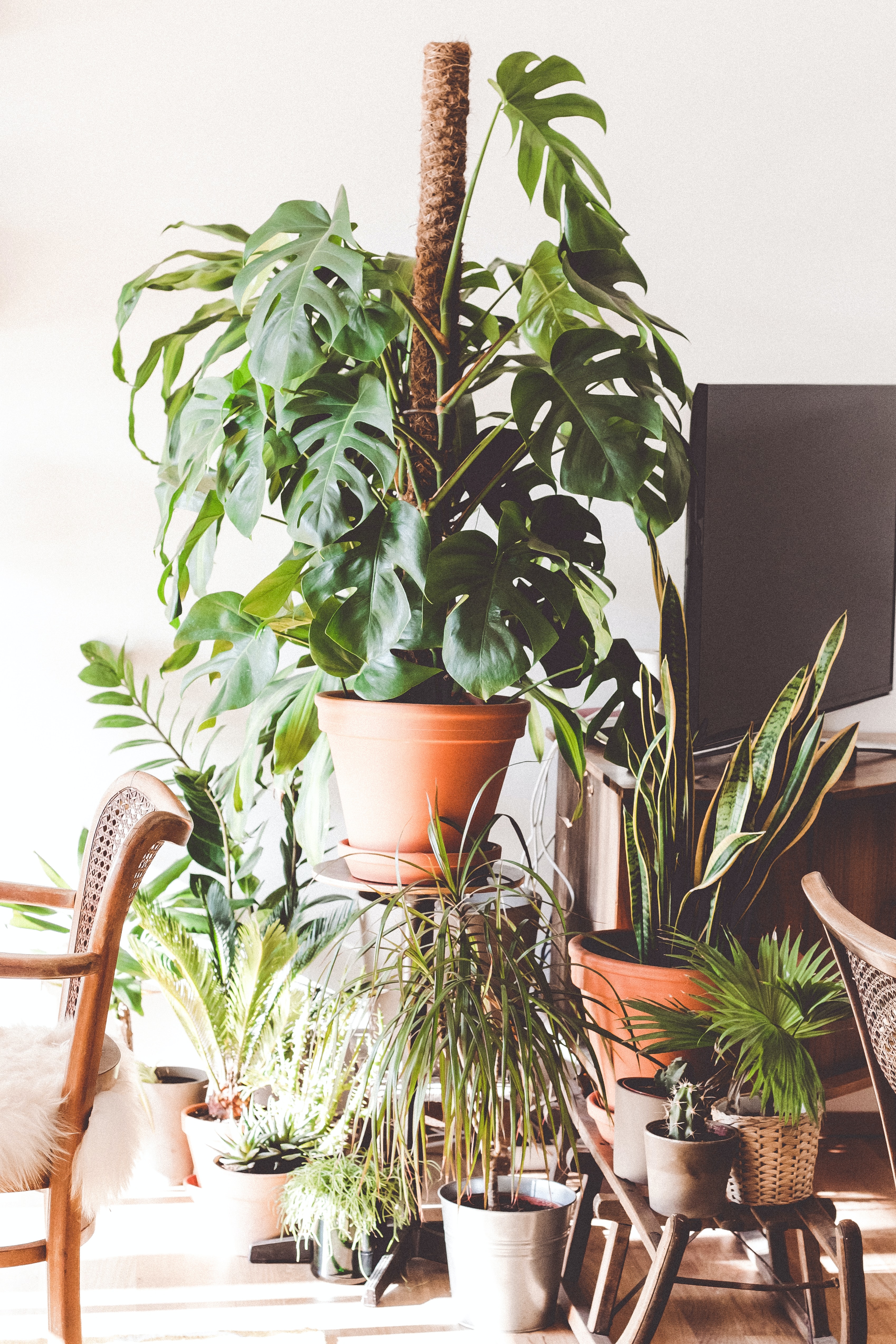 Green Living Room Corner