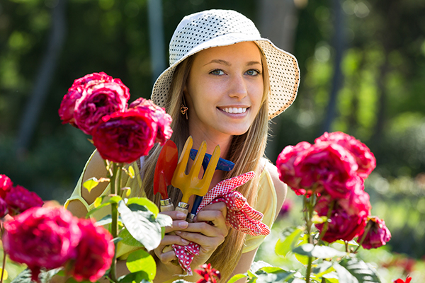 Flower Gardens in July