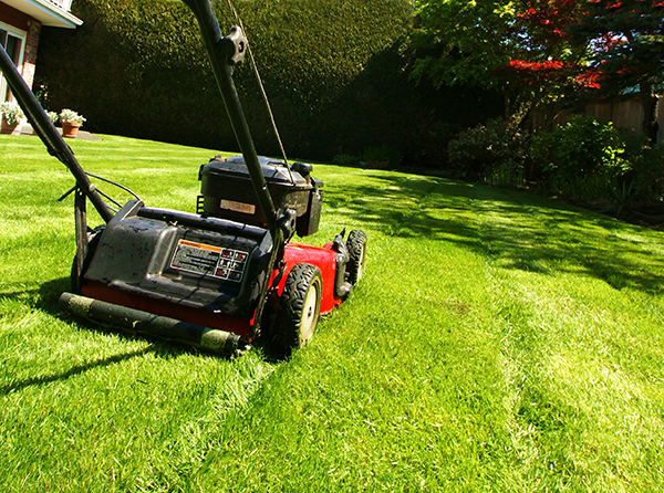 Lawn Maintenance