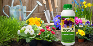 Nutrition for bigger, better, healthier plants - for LESS!