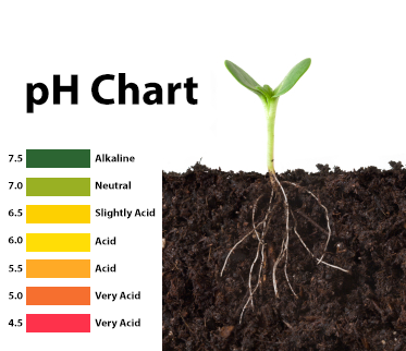 Soil pH